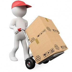 professional packers and movers in Baljeet Nagar Delhi